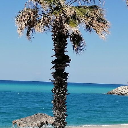 Eneide Bed & Breakfast Palmi Bagian luar foto